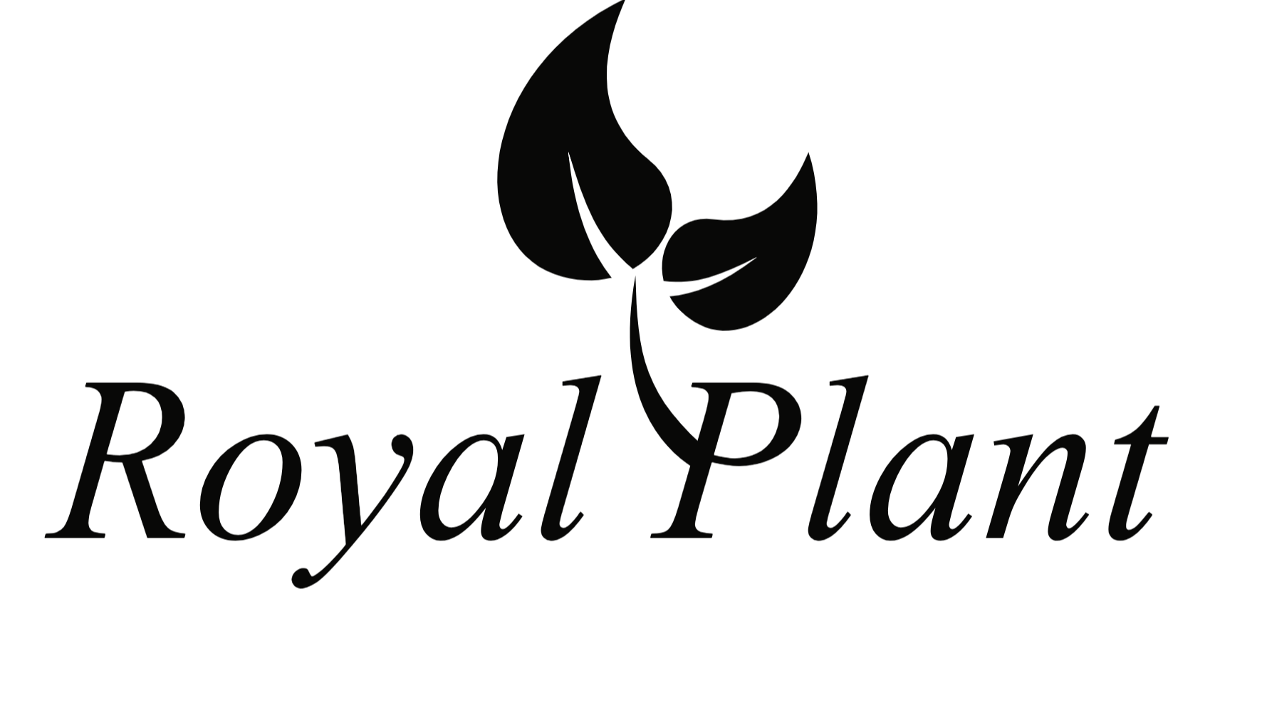 Royal Plant